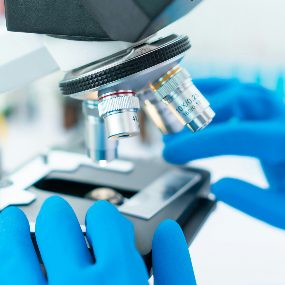 D Wave Science3 1000X1000