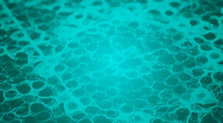 Technical White Papers Thumb 9